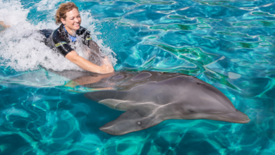 Miami Seaquarium