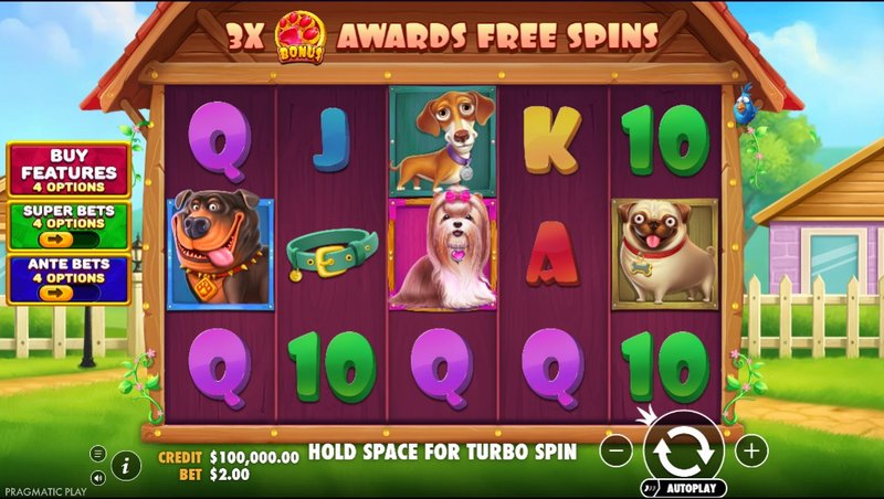Best spinscastle casino in United Kingdom